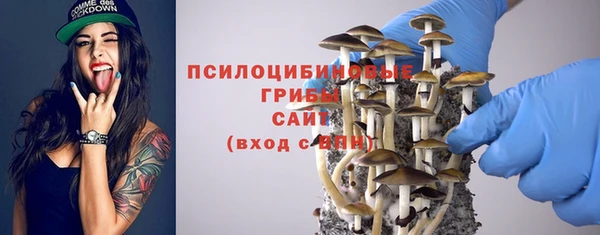 сатива Володарск