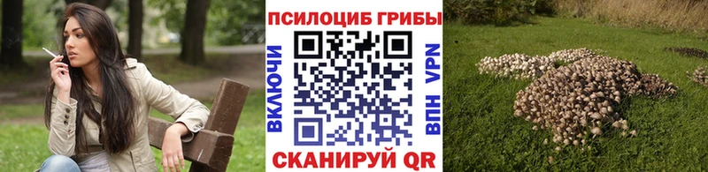 Купить где  Мамадыш  Псилоцибиновые грибы GOLDEN TEACHER 